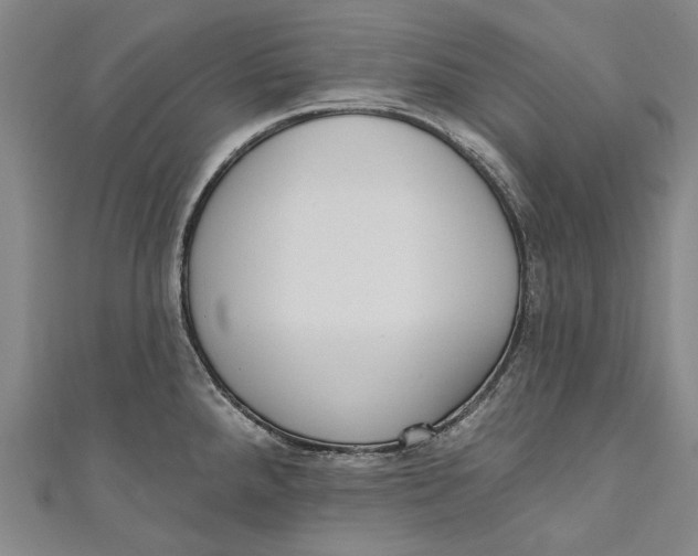 X0000111181288200907221041