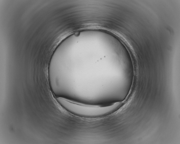 X0000111181289200907221041