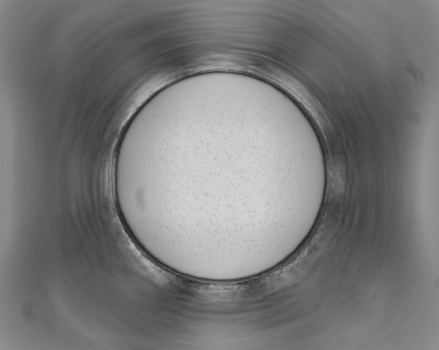 X0000111181290200907221041