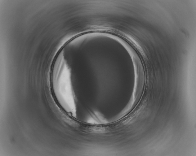 X0000111181291200907221041