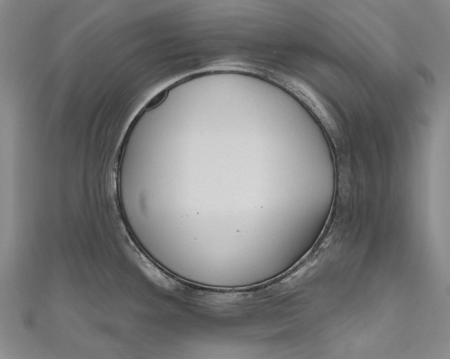 X0000111181292200907221041