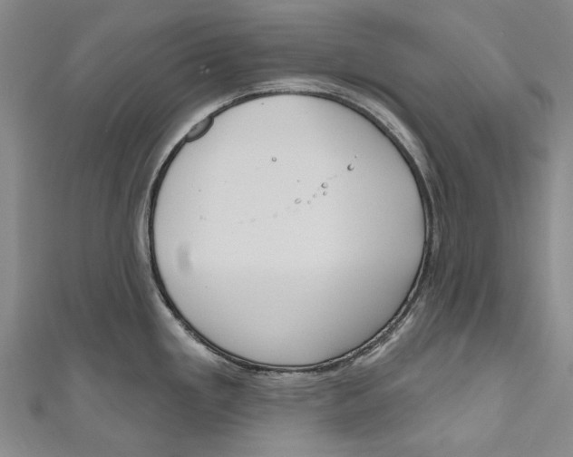 X0000111181293200907221041