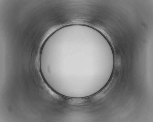 X0000111181294200907221041