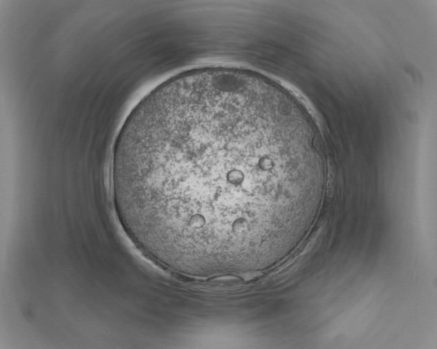 X0000111181295200907221041