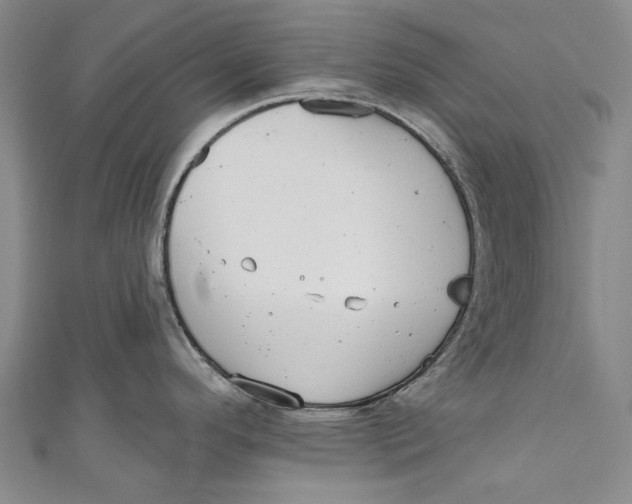 X0000111181296200907221041