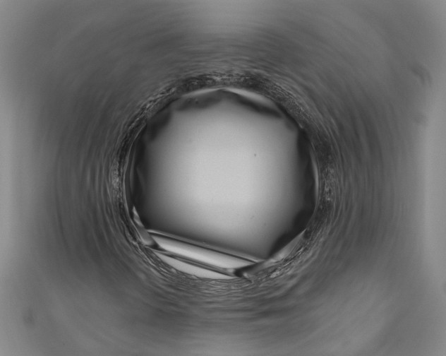 X0000111181298200907221040