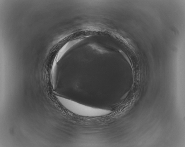 X0000111181303200907221040