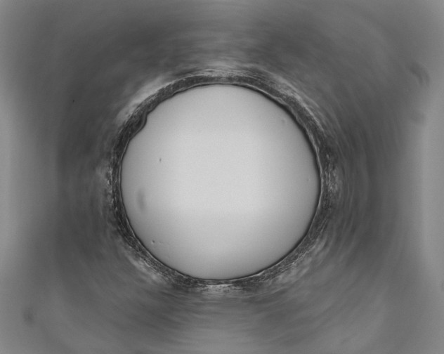 X0000111181304200907221040