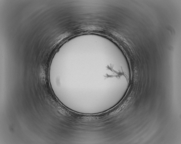 X0000111181305200907221040