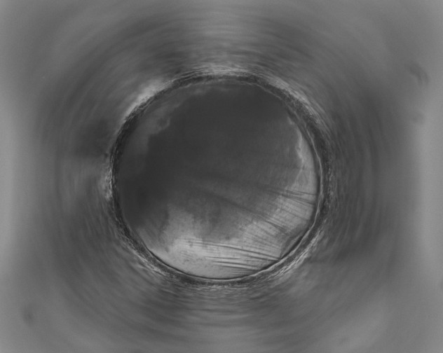 X0000111181306200907221040