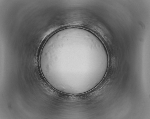 X0000111181308200907221040