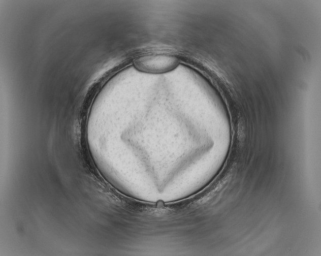 X0000111181309200907221040