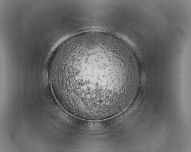 X0000111181310200907221040