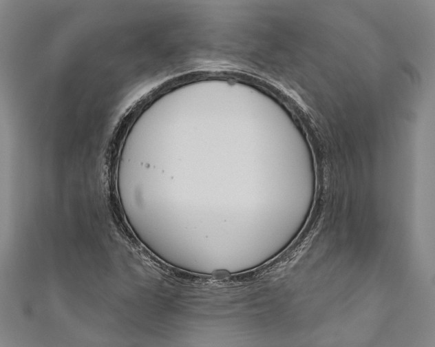 X0000111181311200907221040