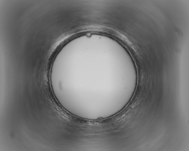 X0000111181312200907221040