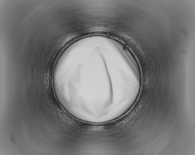 X0000111181313200907221040