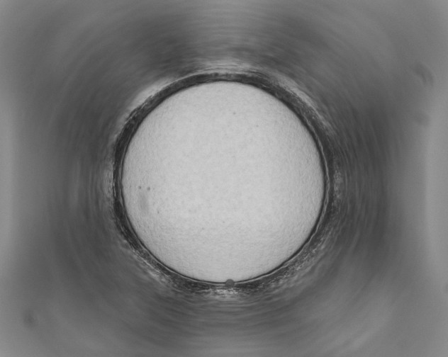 X0000111181315200907221040