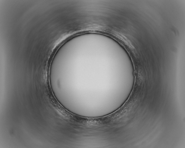 X0000111181316200907221040