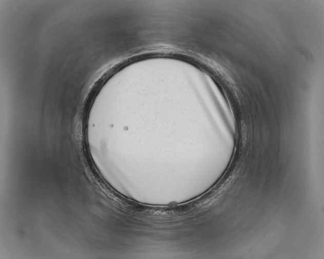 X0000111181318200907221040