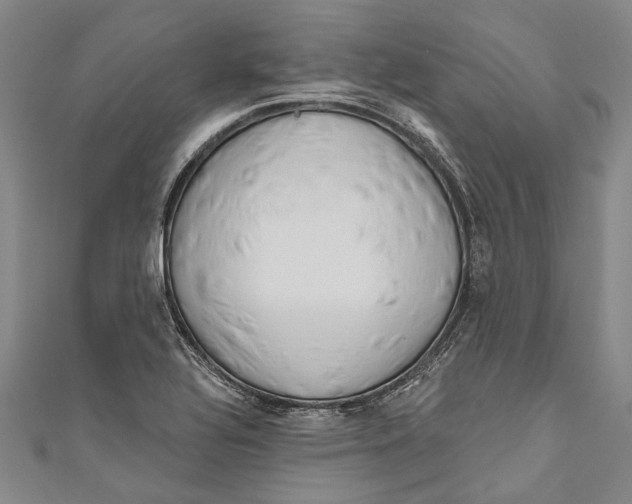 X0000111181320200907221040