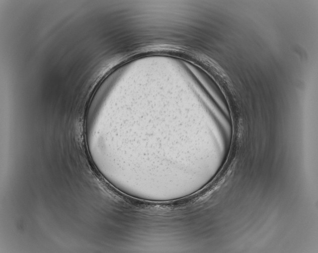 X0000111181321200907221040