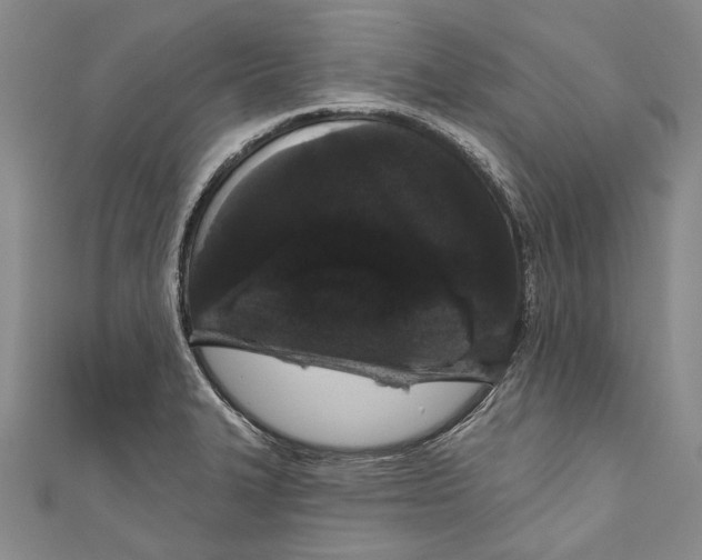 X0000111181327200907221040