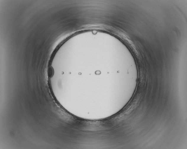 X0000111181328200907221040