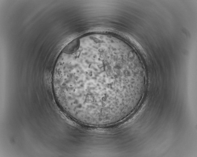 X0000111181329200907221040