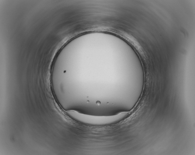 X0000111181332200907221040