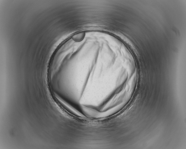 X0000111181333200907221040