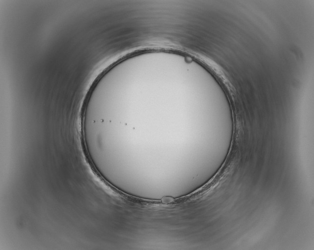 X0000111181335200907221040