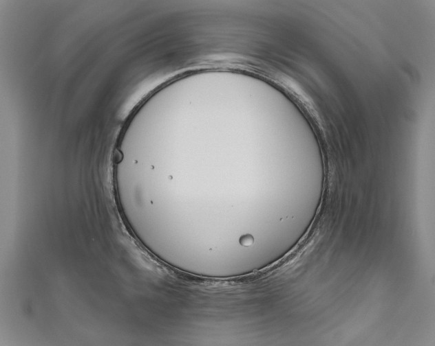 X0000111181336200907221041