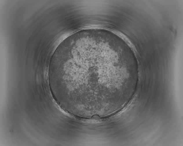 X0000111181337200907221041