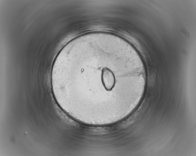 X0000111181338200907221041