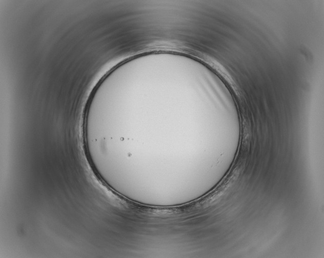 X0000111181339200907221041