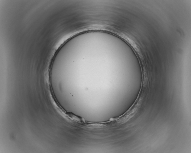 X0000111181342200907221041