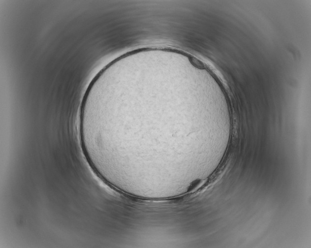 X0000111181343200907221041