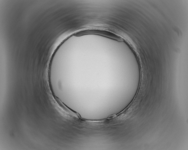 X0000111181344200907221041