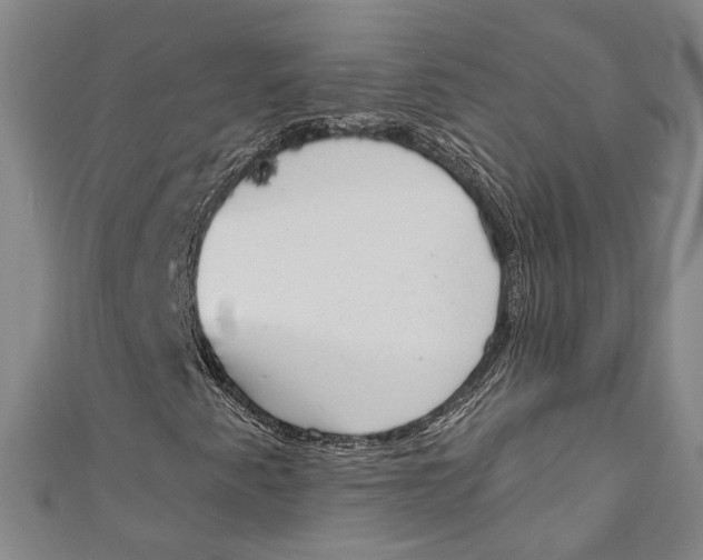 X0000111181345200907221040