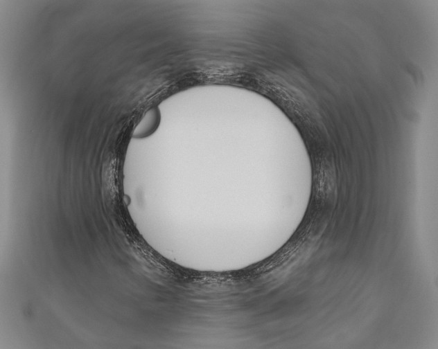 X0000111181346200907221040