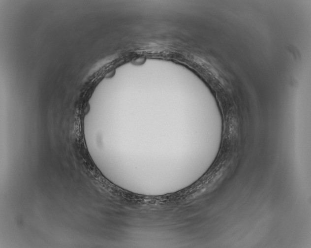 X0000111181350200907221040