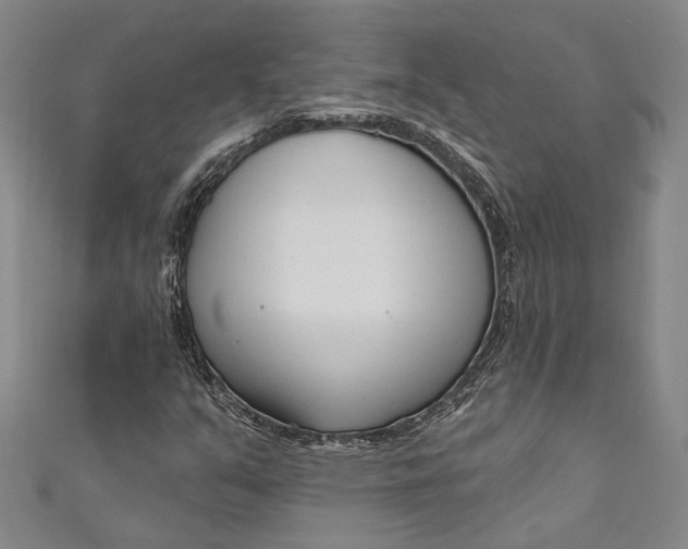 X0000111181351200907221040