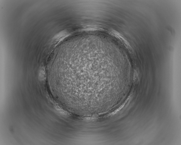 X0000111181353200907221040