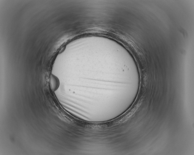 X0000111181355200907221040