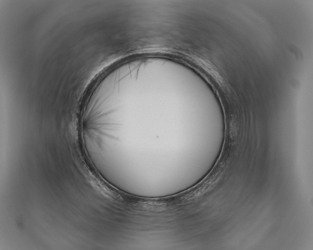 X0000111181356200907221040