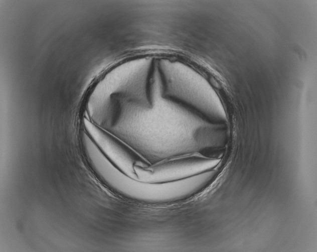 X0000111181357200907221040