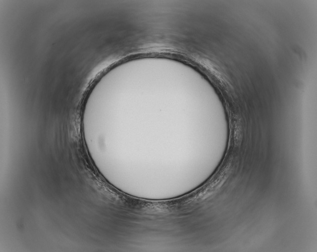 X0000111181358200907221040