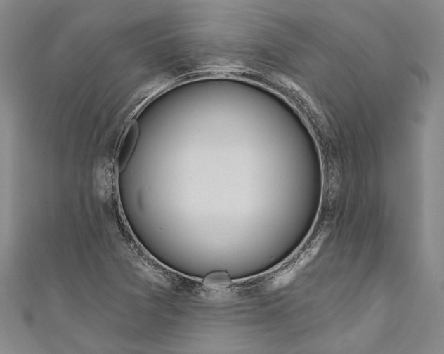 X0000111181361200907221040