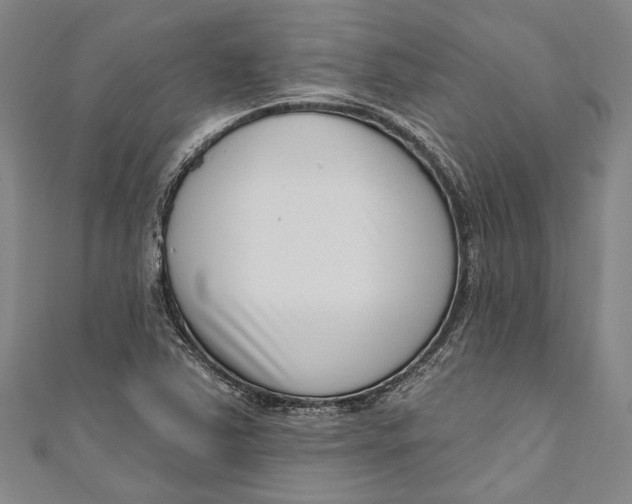 X0000111181363200907221040