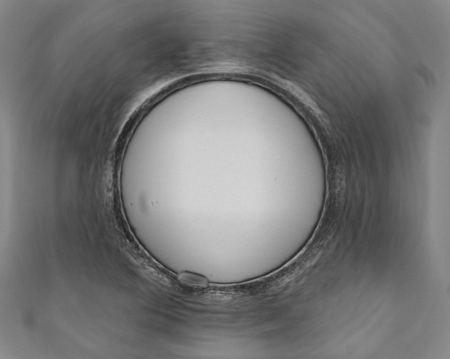 X0000111181364200907221040